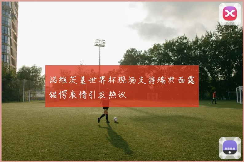 诺维茨基世界杯现场支持瑞典面露错愕表情引发热议